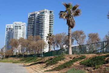 Tel Aviv Israel 03/28/2024. Buildings and structures of Tel Aviv through the foliage of tall trees.