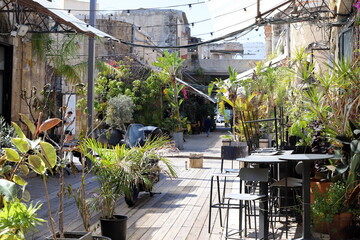 Tel Aviv Israel 03/28/2024. Buildings and structures of Tel Aviv through the foliage of tall trees.