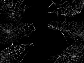 Spider web texture stock image use black background