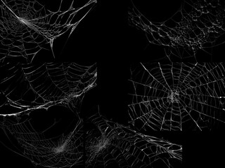 Spider web texture stock image use black background