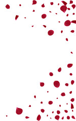 Red_Rose_Petal_Vector_Background_252.eps