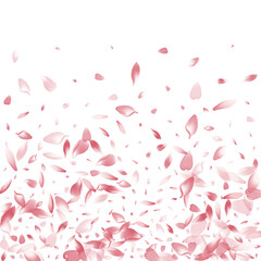 Untitled-3-06__Pudra_sakura1_01.eps