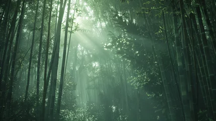Foto op Canvas A dense bamboo forest with shafts of light filtering through the tall stalks creating a peaceful and mystical atmosphere. © Martin