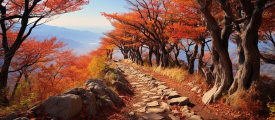 A picturesque natural landscape in autumn with trees and rocks along a winding road. The vibrant colors of the trees and the cloudy sky create an inspiring paintinglike scene