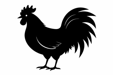 chicken outline silhouette black vector illustration