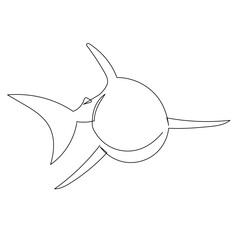 shark, sketch on white background vector