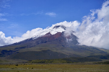 Cotopaxi volcano in Ecuador, South America, mountain with a snow summit, beautiful volcanic...