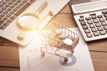 Financial data reports placed on the desk and shopping carts containing coins