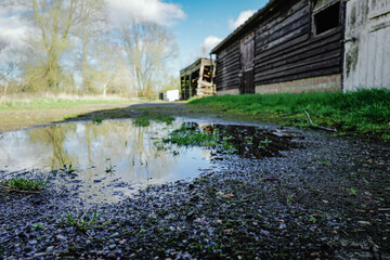 Ground level view of a puddle of water seen in an old English farm after a heavy storm. Stables and wooden outbuildings once housed horses and livestock. - obrazy, fototapety, plakaty
