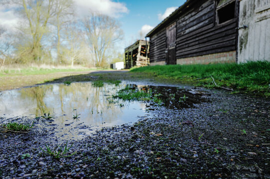 Ground level view of a puddle of water seen in an old English farm after a heavy storm. Stables and wooden outbuildings once housed horses and livestock.