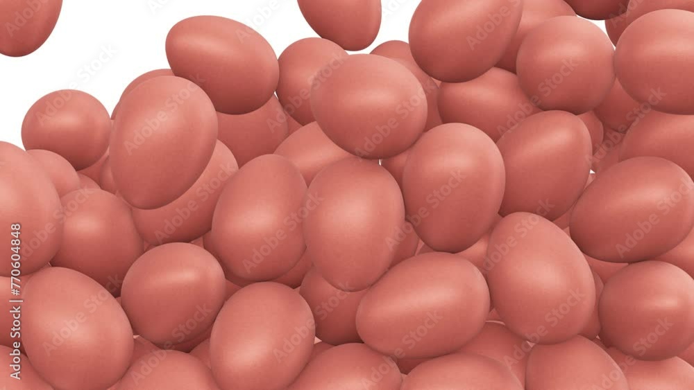 Aufkleber realistic looping 3d animation of the brown chicken eggs falling from the top filling up the volume 