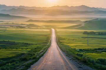 Dawn's first light over a straight country road, leading through green farmland in Xinjiang, China