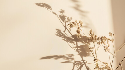 Obraz premium Dried flowers and their shadows on a beige background. Flat lay composition with free space. Nature inspired design concept. Minimalist shadow backdrop. 