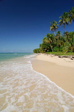 Desert tropical beach. Zapatilla island, Bocas del Toro, Panama - stock photo