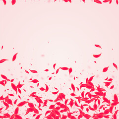 Pink_Petal_Flying_Vector_376.eps
