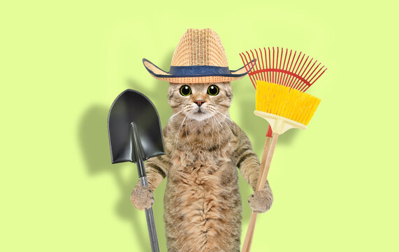 Portrait of a cat in a straw hat with a garden tool in his hands