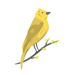 Yellowhammer sitting on a willow branch. Vector illustration.