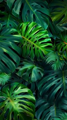 tropical forest background, green big leaf plants, colourful exquisite hyper detailed