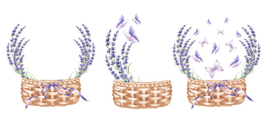 Watercolor set lavender flowers in wicker basket with ribbon, butterflies. Isolated hand drawn illustration provence bouquet. Vintage floral herb template for postcard, tableware, textile, embroidery.