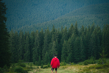 Alone Person Walking in Carpathian Pine Mountains - 770629411