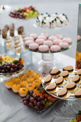 Assorted desserts and pastries arranged on a table