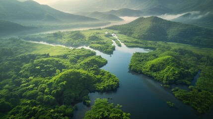 Aerial view of a misty tropical rainforest with lush greenery surrounding a winding river.