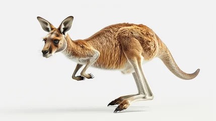 Fotobehang Showcase a photorealistic image of a kangaroo mid-hop © Thanapipat