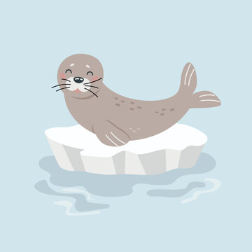 Illustration of cute cartoon seal on ice floe. Arctic animals. For card, poster, print. Vector illustration
