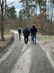 A group of guys are walking in the forest. A group of men are walking along a forest road, viewed from the rear. A walk in the fresh air, among nature.