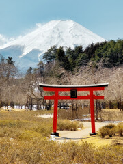 Snow-clad Mount Fuji in Japan in early spring. Typical Japanese landscape with iconic Fujisan and traditional red Torii gate in the foreground.