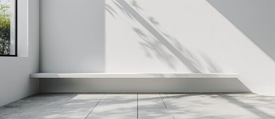  KS Abstract background with a palm leaf shadow on a white