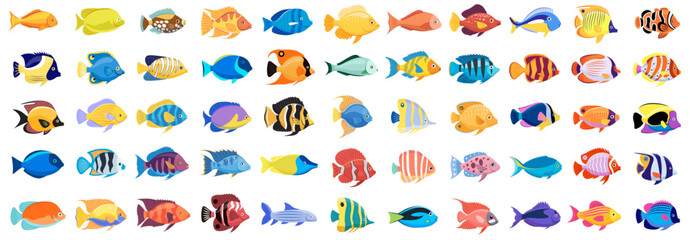 Tropical fish vector cartoon icon © 4zevar