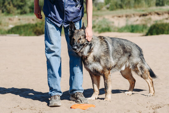 man stands with german shepherd