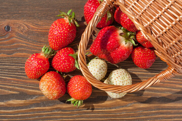 Red and white strawberries spilled out of a basket on a brown wooden table. Flatlay