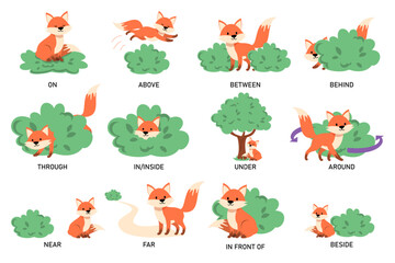 Learning English prepositions with a funny fox and green bush vector isolated. Animal character on and behind the bush. English language grammar.