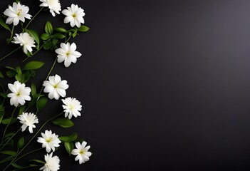 white flowers on black background for obituary notice, funeral announcement, necrology