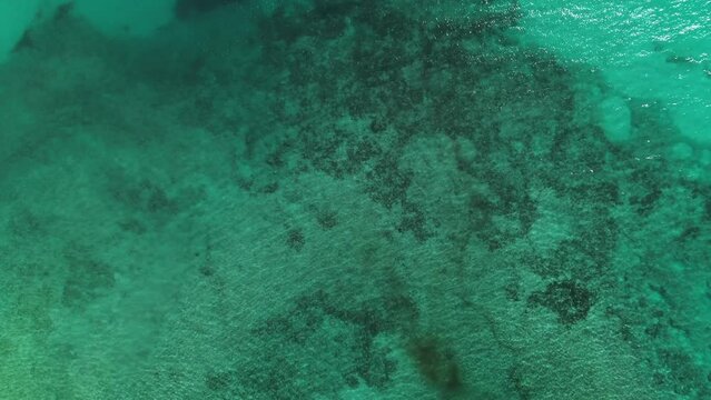 Ideal turquoise sea background. Aerial view of perfect teal blue waters of Pacific ocean. Top down drone shot best snorkeling site on Hawaii islands with seen through coral reefs and marine wild life.