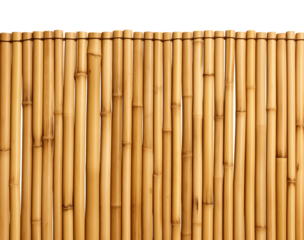 Bamboo Fence Seamless Isolated on Transparent Background
