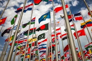 Low angle shot of several international flags waving in the air in Doha, Qatar - obrazy, fototapety, plakaty