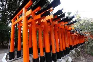 Poster fushimi inari toris gates in kyoto japan © fotoXS