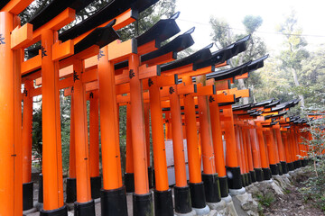 fushimi inari toris gates in kyoto japan