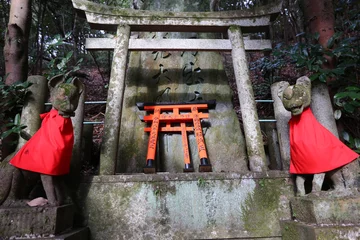 Fototapeten fushimi inari toris gates in kyoto japan © fotoXS