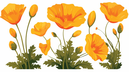 Golden Poppy or California Poppy Flower as Flowering - obrazy, fototapety, plakaty