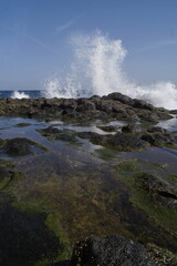 onda che si schianta sulle rocce della costa, scogli, con schizzi, spruzzi d'acqua che si proiettano per vari metri,dati dalla forza dell'impatto, onde dell'oceano atlantico,scattate a fuerteventura