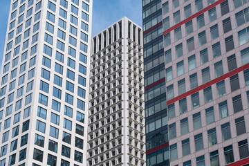 Obraz premium Bustling cityscape featuring an array of modern skyscrapers rising above the skyline