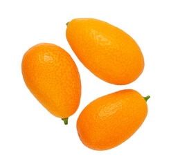 Kumquat isolated on white background. top view
