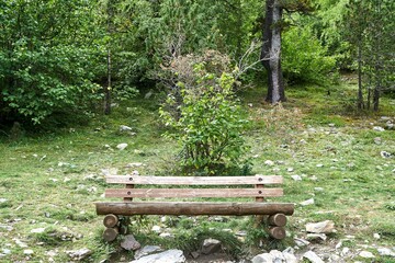 a bench sitting in the middle of a forest next to rocks and grass - obrazy, fototapety, plakaty