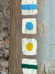 geometric and colored signs for different hiking trails painted on a tree trunk