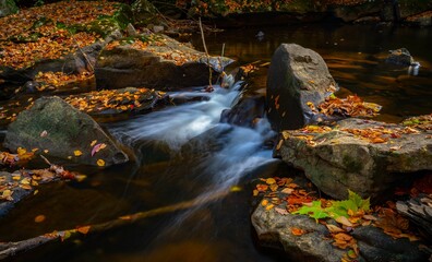 Fototapeta na wymiar a creek surrounded by fallen leaves, Fall season in Babcock State Park, West Virginia