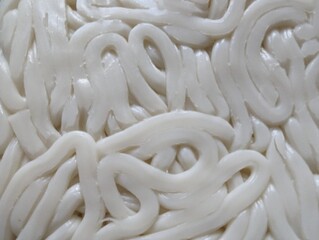 Close-up of uncooked udon noodles